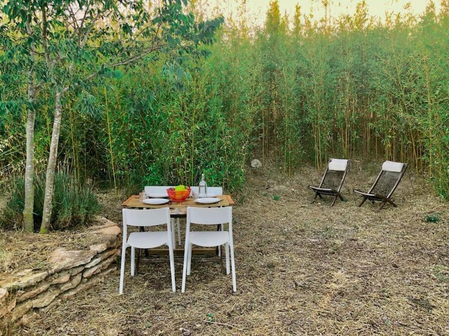 Eco Tiny Home & Office For Digital Nomads Vallmoll Zewnętrze zdjęcie